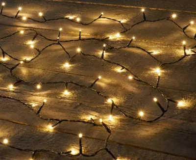 Productafbeelding van Led Ricelight 160L/8M Led Warm Wit - 2M Aanloopsnoer Zwart - Bi-Bui - / Ip44 Trafo Aan / 8/16U Timer / Uit / Dimmer kerstverlichting II Anna's Collection