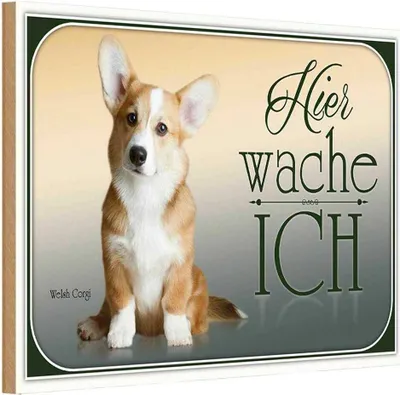 Produktbild von vianmo Holzschild 12x18 cm Hund Chihuahua hier wache ich Tier Haustier
