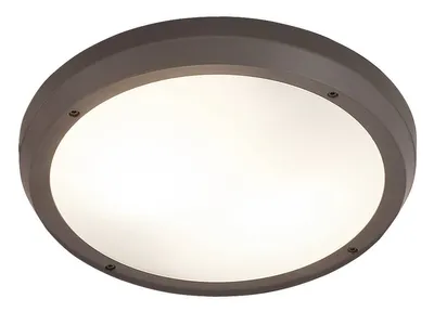 Zdjęcie produktu dla Lampa sufitowa zewnętrzna ALVORADA 8049 Rabalux