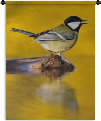 Produktbild von MuchoWow® Wandteppich Wandbehang Kohlmeise - Vogel - Wasser 120x160 cm Tapisserie Dekoration Wandtuch - Wohnzimmer - Moderne