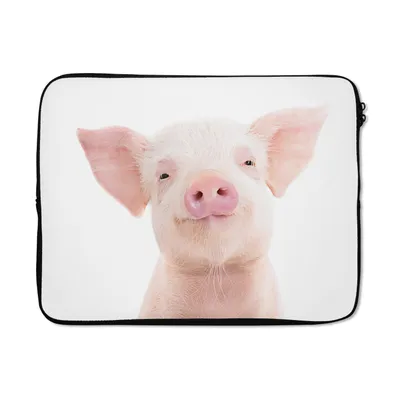 Produktbild von MuchoWow® Laptop Hülle 17 Zoll Laptoptasche Schwein - Rosa - Tiere - Natur - Zipper - Schutzabdeckung
