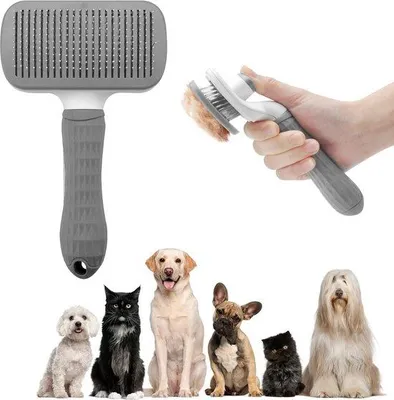 Image de Brosse pour chiens à poil court et à poil long - brosse autonettoyante pour chiens et chats