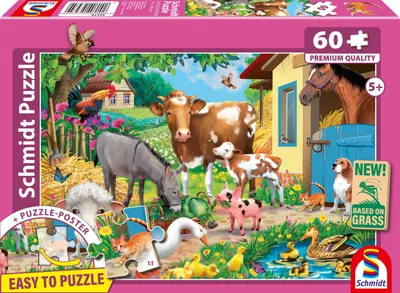 Produktbild von Schmidt Spiele 56574, 60 Stück(e), 5 Jahr(e)