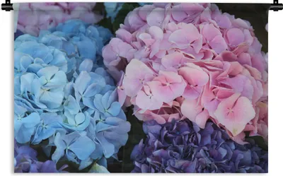 Produktbild von MuchoWow® Wandteppich Wandbehang Blumen - Strauch - Hortensie - Botanisch 150x100 cm Tapisserie Dekoration Wandtuch - Waschbar - Tapisserien - Wand-Decke
