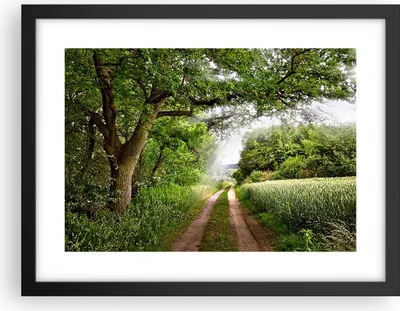 Produktbild von Gerahmtes Poster - Schwarzer Rahmen - Pfad Natur Wald Grün - 40x30 cm - Wand Bild - Wanddeko - Wandbilder - Kunstposter - Wandposter - Bilderrahmen - Bilder - Kunstdruck - Wandbild - P2BAA40x30-2637