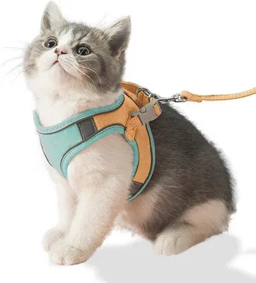 Produktbild von Famanu Katzen- und Hunde-Geschirr mit Leine - Verstellbar, weich und reflektierend