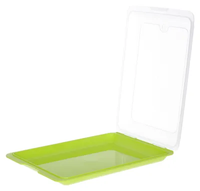 Produktbild von Toyma Fleischbox - grun - Kunststoff - 24,5 x 17 cm
