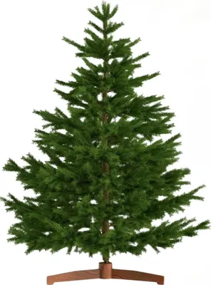 Zdjęcie produktu dla Sztuczna choinka FROST, 180 cm, zielona