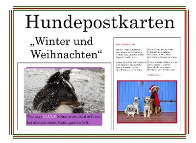 Produktbild von Hundepostkarten - Winter und Weihnachten