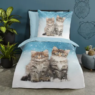 Produktbild von Traumschlaf Flanell Bettwäsche Katzen 135x200 cm + 80x80 cm