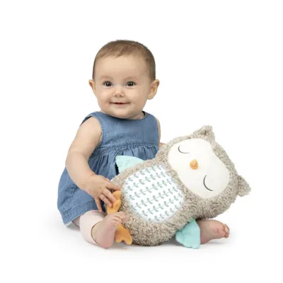 Produktbild von Ingenuity Snuggle Sounds Nally beruhigendes Plüschtier