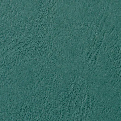 Produktbild von GBC LeatherGrain Umschlagmaterial 250 g/m², dunkelgrün (100), A4, Grün, 250 g/m², 210 mm, 297 mm, 100 Stück(e)