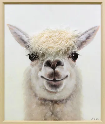 Produktbild von ARTUNIVERSE Leinwandbild Kunstfell Lama Youngster 50 x 60 cm