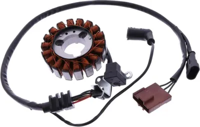 Produktbild von 101_Octane Lichtmaschine Stator kompatibel mit Aprilia, Piaggio, Vespa, Gilera 125, 250, 300ccm