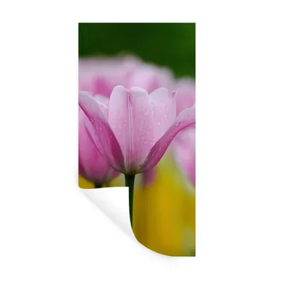 Produktbild von MuchoWow® Wandtattoo Wandsticker Wandaufkleber Blumen - Tulpen - Rosa 40x80 cm Selbstklebend und Repositionierbar - Repositionierbar - Wasser abweisend