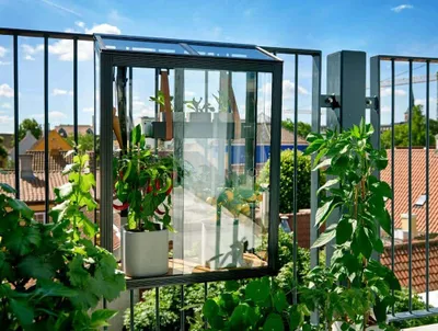Produktbild von Juliana MiniGewächshaus Balcony Gewächshaus aus Metall in Schwarz, Anzuchthaus mit 3 mm Wandstärke Treibhaus
