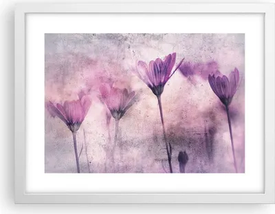Produktbild von Gerahmtes Poster - Weißer Rahmen - Blumen Rosa Vintage - 40x30 cm - Wand Bild - Wanddeko - Wandbilder - Kunstposter - Wandposter - Bilderrahmen - Bilder - Kunstdruck - Wanddekoration - P2WAA40x30-4432