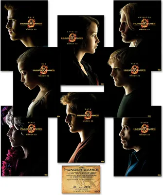 Produktbild von Die Tribute von Panem Poster Set 68,5 x 101,5 cm
