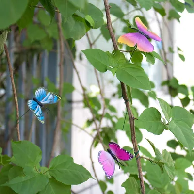 Produktbild von Garten-Schmetterlinge und Insekten Dekoration - Set von 60 Stück - Bunt - Für Garten und Terrasse