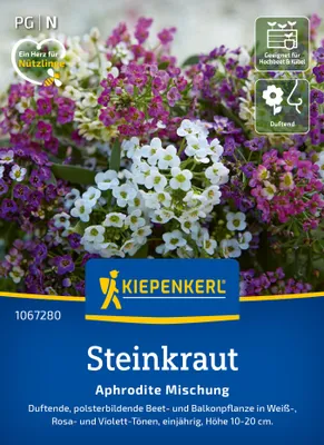 Artikelbild 2 von 'Steinkraut Aphrodite Mischung' aus der Kategorie Steinkrautsamen