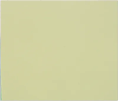 Produktbild von Clairefontaine Zeichenpapier Tulipe 50x65 cm, Packung mit 50 Bl Lindgrün 960284C