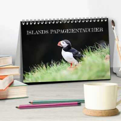 Produktbild von Islands Papageientaucher (Tischkalender 2026 DIN A5 quer), CALVENDO Monatskalender