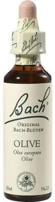 Produktbild von BACHBLÜTEN Olive Tropfen