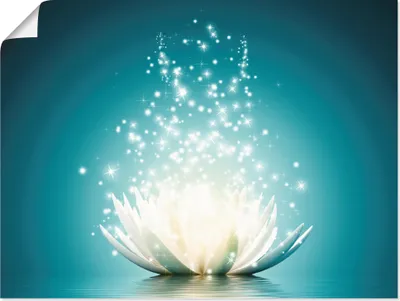 Produktbild von Vadim Georgiev: Magie der Lotus-Blume türkis, Produkt:Poster, Größe (HxB):30x40 cm / Poster
