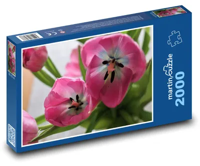 Obrázek produktu pro Puzzle 2000 Růžové květy tulipánů - martinpuzzle