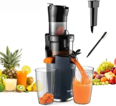 Obrázek produktu pro Slowjuicer se stáváChladným lisem na ovoce a zeleninu – 500 ml – 200 W – Modř (černá)