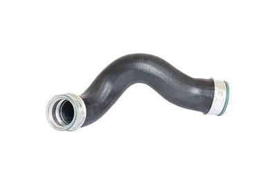 Image de BUGIAD Tuyau d'air de suralimentation