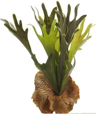 Produktbild von artplants.de Kunstpflanze Geweihfarn BAROJA auf Steckstab, grün, 40cm - Deko Hirschfarn