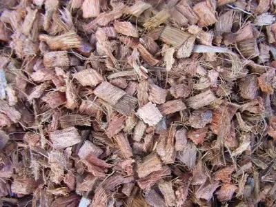Produktbild von Orchideensubstrat aus 100% Kokos, grob, 50l (0,66€ / L) Kokosmulch, Spezialsubstrat, Orchideenerde, Kokoschips, Hydrokultursubstrat, Orchideen, Blumenerde, Bonsaisubstrat, torffrei