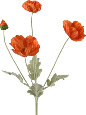 Produktbild von Künstliche Mohnblume mit Stiel 14x63cm Orange