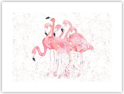 Produktbild von Poster - Poster ohne Rahmen - Flamingo Vogel Wasser - 40x30 cm - Wand Bild - Wanddeko - Wandbilder - Kunstposter - Wandposter - Bilder - Kunstdruck - Wanddekoration - Wandbild - P2XAA40x30-3899
