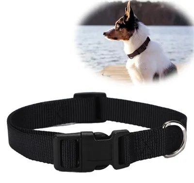 Productafbeelding van Reflecterende hondenhalsband van neopreen en nylon voor kleine honden, verstelbaar en comfortabel