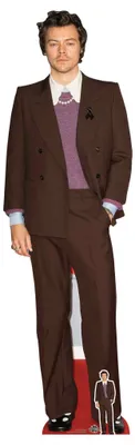 Obrázek produktu pro Harry Styles – fialová bunda – Star VIP – kartonová figurína – 56 x 183 cm