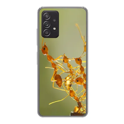 Produktbild von MuchoWow® Handyhülle Schutzhülle Hülle für Samsung galaxy a73 Ameisen - Orange - Tiere Silikon Softcase Handy Hülle - Handyhülle