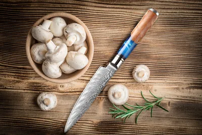 Immagine prodotto di Spelucchino e coltello multiuso, coltello Damasco extra affilato e un vero e proprio richiamo per la cucina