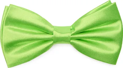 Produktbild von Ladeheid Elegante Herren Fliege -Hochwertig Glänzend Verstellbar BMS (12cmx6cm)