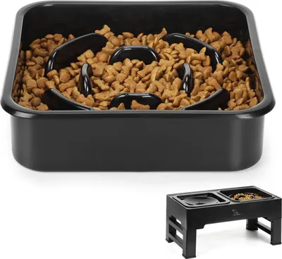 Image de Ecuelle anti-glouton réglable en hauteur pour chiens - Favoriser l'alimentation lente