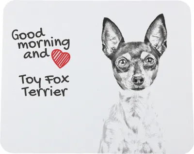 Produktbild von Toy Fox Terrier, American Toy Terrier, Amertoy - Mauspad mit Druck, personalisiertes Mauspad mit Hund, einzigartiges Gadget für Büroangestellte von Art-Dog.