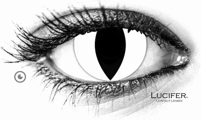 Immagine prodotto di Lenti a contatto Lucifer® White Cat - 2 pezzi (1 paio), senza prescrizione medica