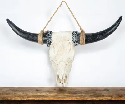 Produktbild von Casablanca Wandobjekt "Büffel" - Wandkunstdekor - Wanddeko B.80cm - Wandbild schwarz - Wanddekoration modern für das Wohnzimmer