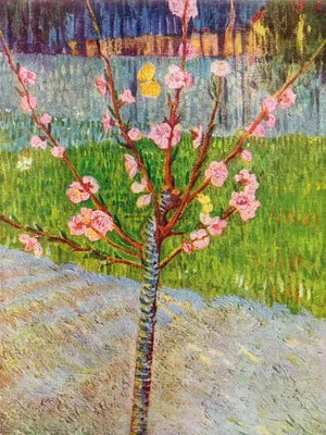 Obrázek produktu pro Vincent Van Gogh Art Print Obraz - Kvetoucí broskvoň, 1888 (80 x 60 cm)