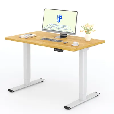 Zdjęcie produktu dla FLEXISPOT biurko z elektryczną regulacją wysokości 120x80cm udźwig 100KG, podwójny silnik, 4 funkcje pamięci, jednoczęściowy blat 25mm (klon)