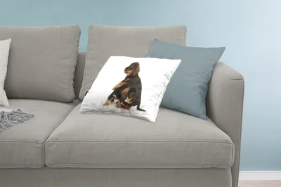 Produktbild von MuchoWow® Zierkissen Sofakissen Wohnzimmer Dekokissen 60x40 cm Studiofoto von zwei süßen Dackeln - Kopfkissen - Polster mit Foto