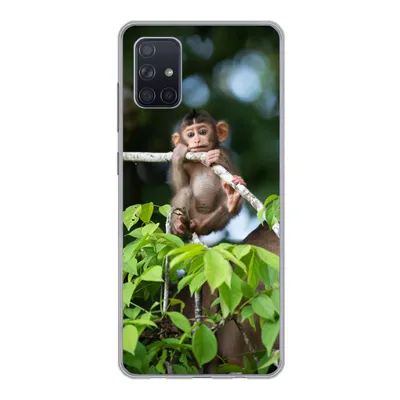Produktbild von MuchoWow® Handyhülle Schutzhülle Hülle für Samsung Galaxy A71 Baby - Affe - Äste Silikon Softcase Handy Hülle - Kartenbesitzer