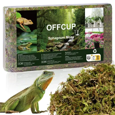 Image de Mousse de sphaigne naturelle pour terrarium et plantes