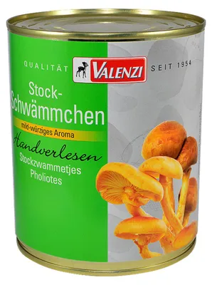 Immagine prodotto di Spugne a bastoncino Valenzi 455g